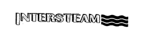 INTERSTEAM logo