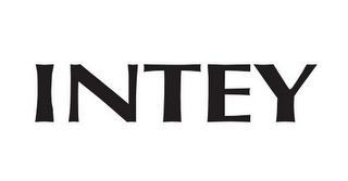 INTEY logo