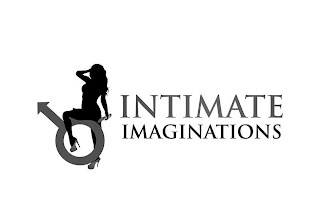 INTIMATE IMAGINATIONS logo