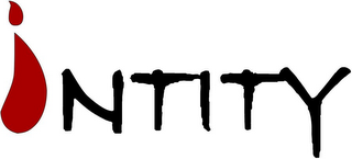 INTITY logo
