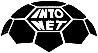 INTO THE NET logo