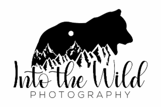 INTO THE WILD PHOTOGRAPHY logo