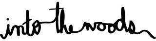 INTO THE WOODS logo