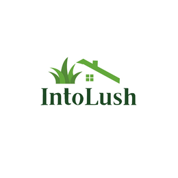 INTOLUSH logo