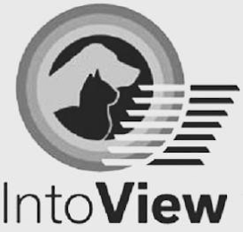 INTOVIEW logo