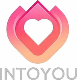 INTOYOU logo