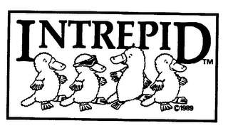 INTREPID logo