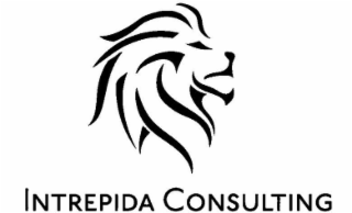 INTREPIDA CONSULTING logo