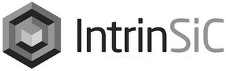 INTRINSIC logo