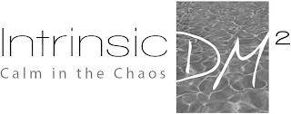 INTRINSIC CALM IN THE CHAOS DM 2 logo