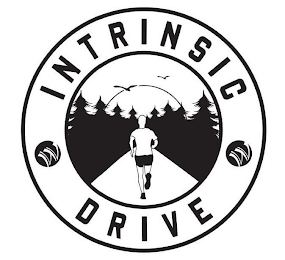 INTRINSIC DRIVE logo