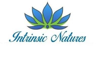 INTRINSIC NATURES logo