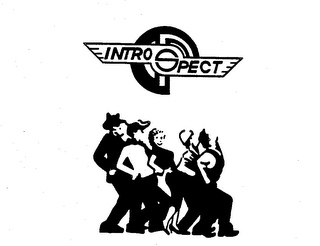 INTROSPECT