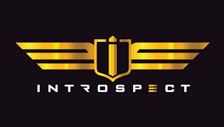 INTROSPECT I logo
