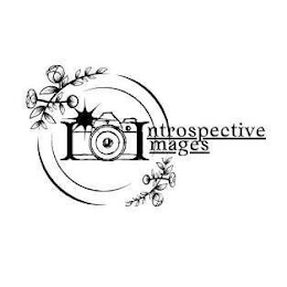 INTROSPECTIVE IMAGES logo
