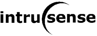 INTRU SENSE logo