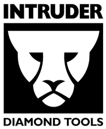 INTRUDER DIAMOND TOOLS logo