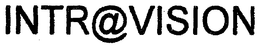 INTR@VISION logo