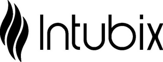 INTUBIX logo