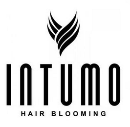 INTUMO HAIR BLOOMING logo