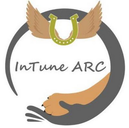 INTUNE ARC logo
