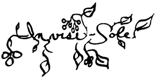 INVISI-SOLE logo