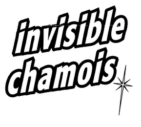 INVISIBLE CHAMOIS logo
