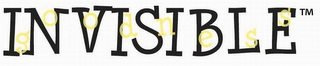 INVISIBLE GOODNESS logo