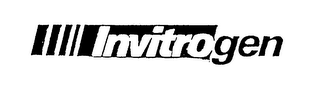 INVITROGEN