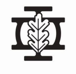 IO logo