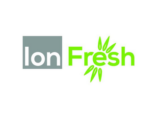 ION FRESH logo