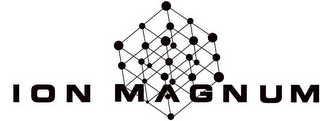 ION MAGNUM logo