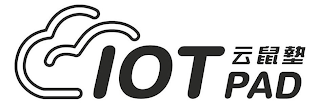 IOT PAD logo
