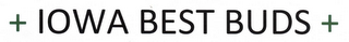 +IOWA BEST BUDS+ logo