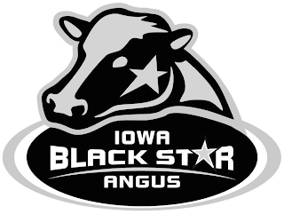 IOWA BLACK STAR ANGUS logo