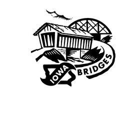IOWA BRIDGES logo
