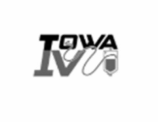 IOWA IV logo