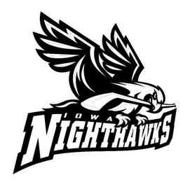 IOWA NIGHTHAWKS logo
