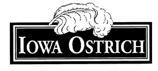 IOWA OSTRICH logo