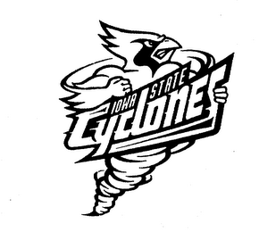 IOWA STATE CYCLONES logo