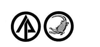 IP logo