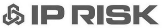 IP RISK logo