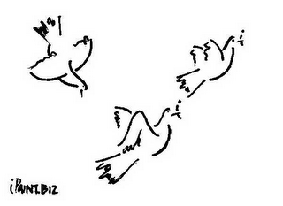 IPAINT.BIZ logo