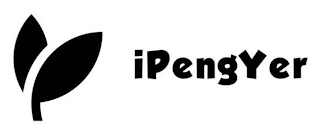IPENGYER logo