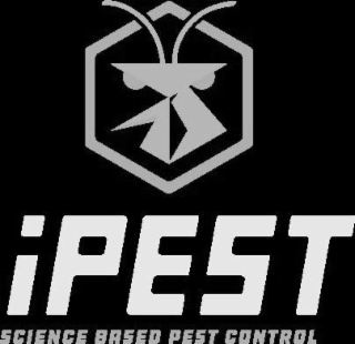 IPEST SCIENCE BASED PEST CONTROL logo
