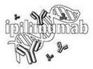 IPILIMUMAB logo