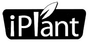 IPLANT logo