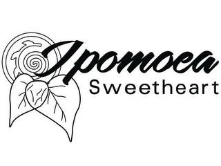 IPOMOEA SWEETHEART logo