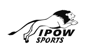 IPOW SPORTS logo