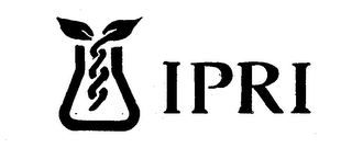 IPRI logo